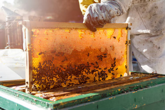 Is Beeswax Lip Balm Better Than a Store Bought Stick?